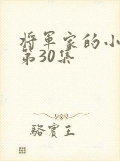 将军家的小娘子第30集