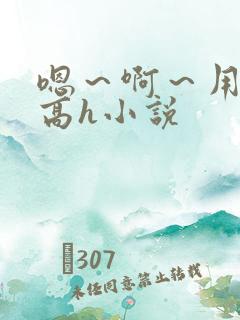 嗯～啊～用力～高h小说