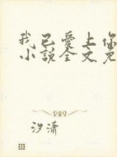 我已爱上你陈超小说全文免费阅读