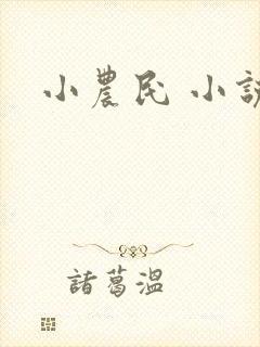 小农民 小说