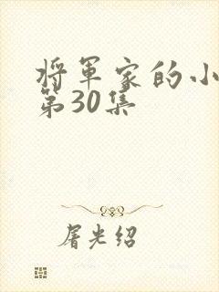 将军家的小娘子第30集