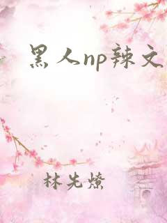黑人np辣文