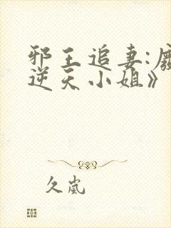 邪王追妻:废材逆天小姐》