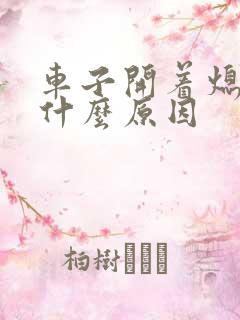 车子开着熄火了什么原因