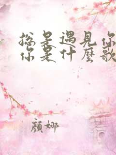 总是遇见你遇见你是什么歌