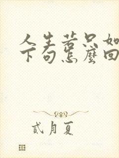 人生若只如初见下句怎么回复最好