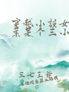 穿越小说女主姓叶是个三小姐