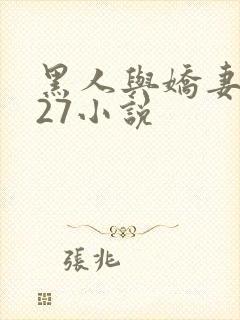 黑人与娇妻1～27小说
