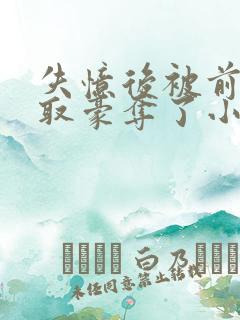 失忆后被前夫强取豪夺了小说