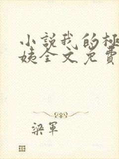 小说我的极品小姨全文免费阅读