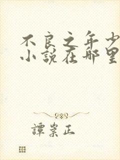 不良之年少轻狂小说在哪里看