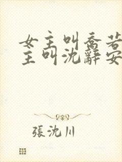 女主叫乔若兮男主叫沈辞安的小说