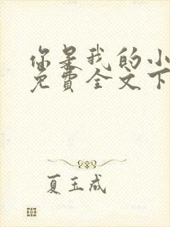 你是我的小确幸免费全文下载