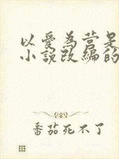 以爱为营是哪个小说改编的