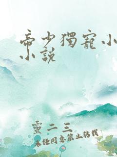 帝少独宠小甜妻小说