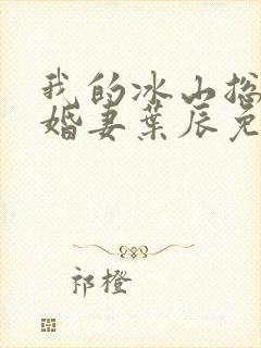 我的冰山总裁未婚妻叶辰免费阅读