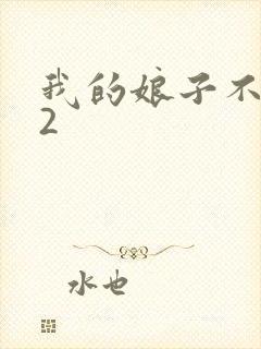 我的娘子不对劲2