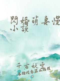 闪婚萌妻慢慢宠小说
