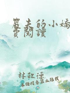 严夫的小娇妻免费阅读