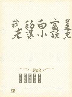 我的白富美总裁老婆小说免费阅读