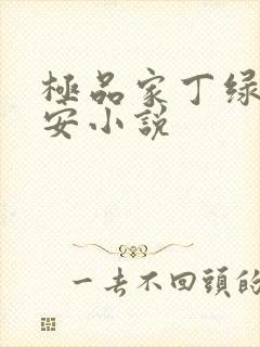 极品家丁绿帽版安小说