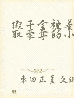 假千金被养父强取豪夺的小说