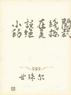 小说在线阅读我的绝美总裁老婆