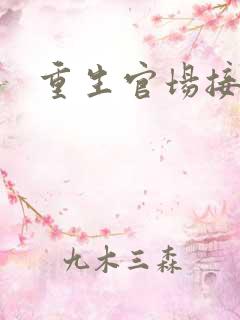 重生官场接班人