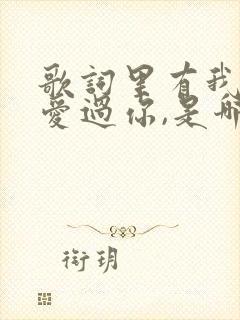 歌词里有我曾经爱过你,是哪首歌曲