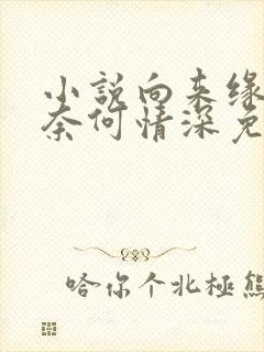 小说向来缘浅,奈何情深免费