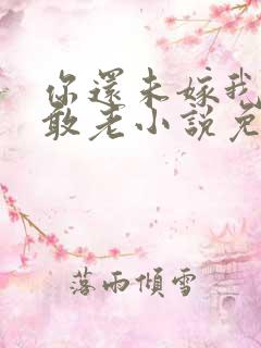 你还未嫁我怎么敢老小说免费阅读