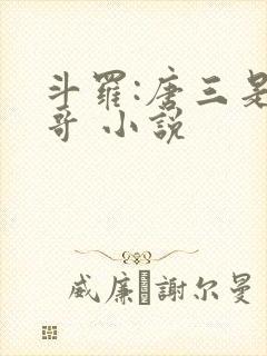 斗罗:唐三是我哥 小说