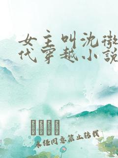 女主叫沈微的古代穿越小说