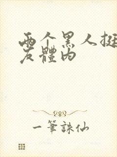 两个黑人挺进女友体内