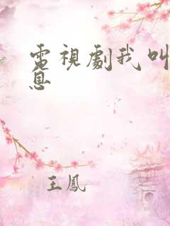 电视剧我叫赵出息