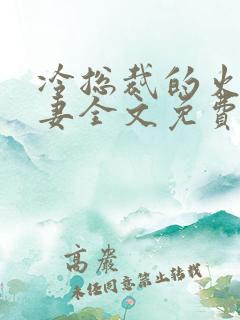 冷总裁的火爆娇妻全文免费阅读