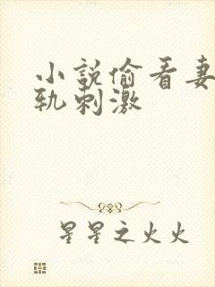 小说偷看妻子出轨刺激