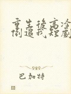 重生后高冷妻子倒追我短剧全集资源