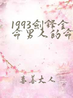 1993剑锋金命男人的命运