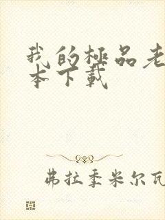 我的极品老婆全本下载