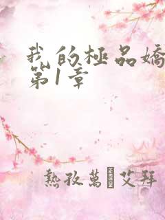 我的极品娇妻 第1章