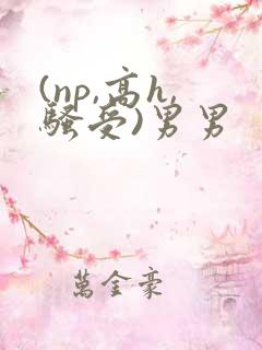 (np,高h,骚受)男男