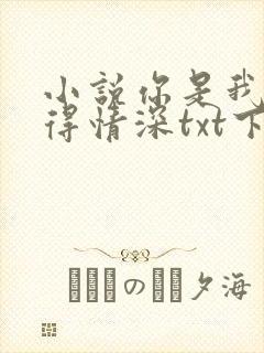 小说你是我的难得情深txt下载