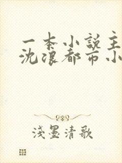 一本小说主角叫沈浪都市小说