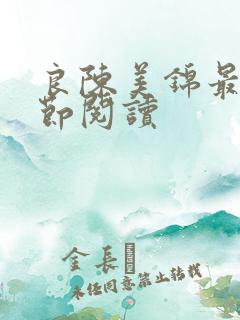 良陈美锦最新章节阅读