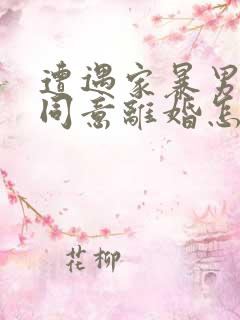 遭遇家暴男方不同意离婚怎么办