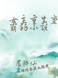 女主重生变成学霸的小说