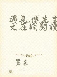 遇见,傅先生全文在线阅读