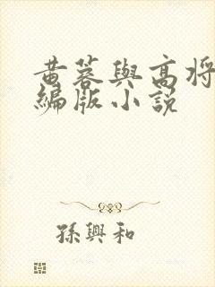 黄蓉与高将军改编版小说