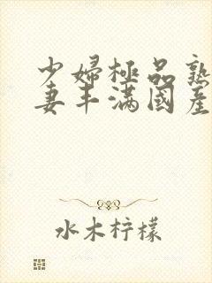 少妇极品熟妇人妻丰满国产精品人妻